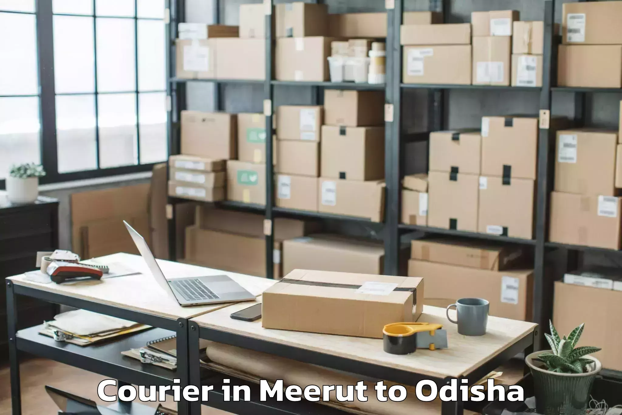 Reliable Meerut to Delanga Courier